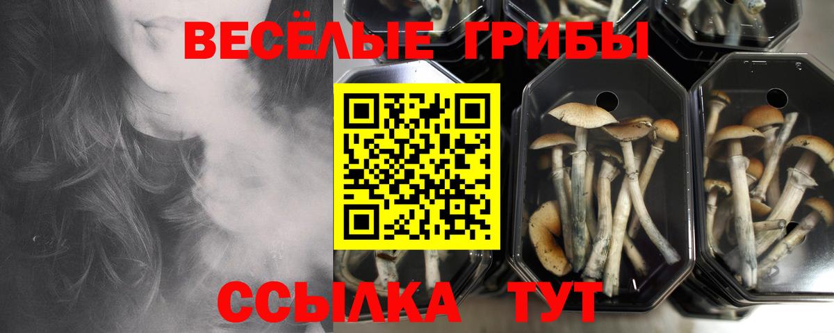 Озёры  Псилоцибиновые грибы мицелий  Галлюциногенные грибы Magic Shrooms  Вход с VPN 